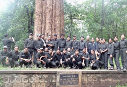 Courses CASFOS Coimbatore