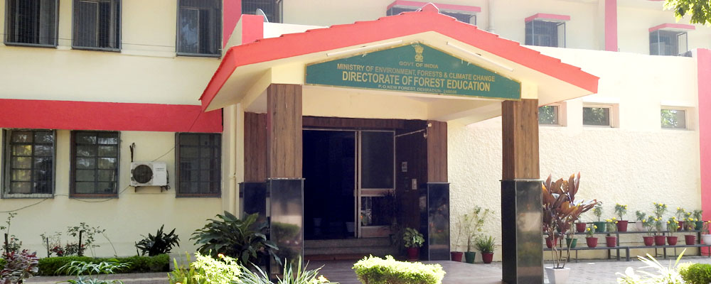 DFE