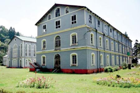DFE