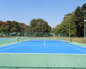 Sports and Physical Training Dehradun