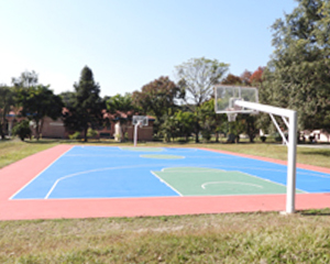 Sports and Physical Training Dehradun