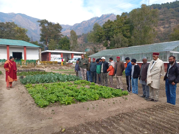 वानिकी विश्वविद्यालय नौणी, सोलन में सेब और अखरोट के संदर्भ में नर्सरी प्रबंधन एवं शीतोष्ण फल उत्पादन विषय पर पाँच दिवसीय प्रशिक्षण